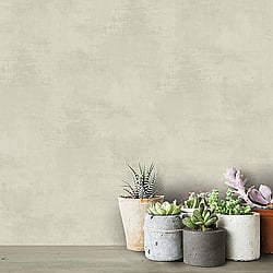 Galerie Wallcoverings Product Code 61017 - Kalk Wallpaper Collection - Green Colours - Chalk Texture Design