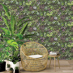 Galerie Wallcoverings Product Code 7322 - Evergreen Wallpaper Collection - Multicolor Colours - Succulents Design