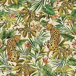 Galerie Wallcoverings Product Code DB33216M - Daisy Bennett Wallpaper Collection - Multicolors Colours - Exotica Mural Design