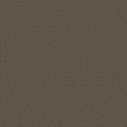 Galerie Wallcoverings Product Code F-SR8007 - Lustre Wallpaper Collection - Bronze Brown Colours - Plain Design