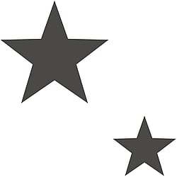 Galerie Wallcoverings Product Code SS21254 - Style Sisters Classic Wallpaper Collection -  Double Star Black Design