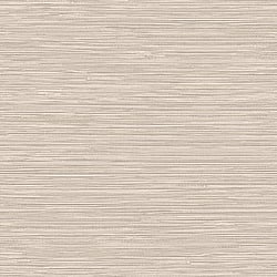 Galerie Wallcoverings Product Code TA25040 - Shades Of Colour Wallpaper Collection - offwhite Colours - Grasscloth Design