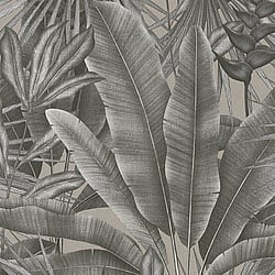 Galerie Wallcoverings Product Code WH30115 - Welcome Home Wallpaper Collection - Silver Grey Colours - Tropical Leaves Design