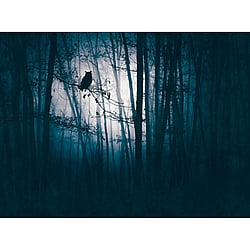 Galerie Wallcoverings Product Code WH45274M - Welcome Home Murals Wallpaper Collection - Blue, Grey, Black Colours - Owl in Moonlight Design