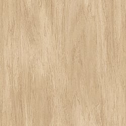 Galerie Wallcoverings Product Code WW22223 - The Woods And Wicker Wallpaper Collection - Beige Colours - Wood Effect Motif Design