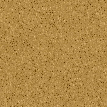 Galerie Wallcoverings Product Code 2S1003 - 2nd Skin Wallpaper Collection -   