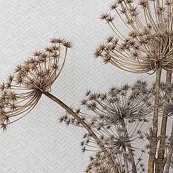 Galerie Wallcoverings Product Code 33315 - Eden Wallpaper Collection -   