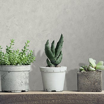 Galerie Wallcoverings Product Code AM25303 - Shades Of Colour Wallpaper Collection - Grey cloud Colours -  