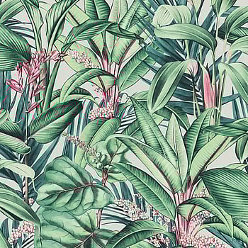 Galerie Wallcoverings Product Code AM30003 - Amazonia Wallpaper Collection - Green Pink Colours -  