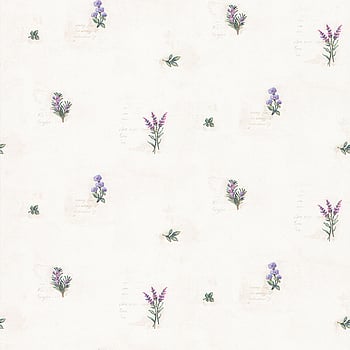 Galerie Wallcoverings Product Code KV27431 - Fresh Kitchens 5 Wallpaper Collection -   