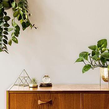 Galerie Wallcoverings Product Code LB25187P - Llewelyn-Bowen - Off The Wall Wallpaper Collection - Georgette Colours -  