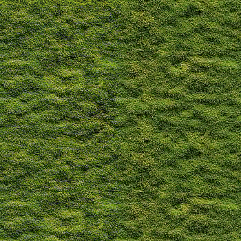 Galerie Wallcoverings Product Code WH45208M - Welcome Home Murals Wallpaper Collection - Green Colours -  